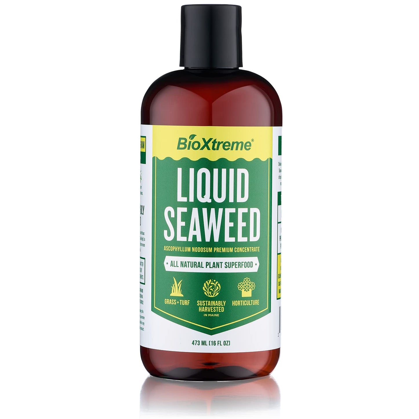 Liquid Seaweed Concentrate - 16oz