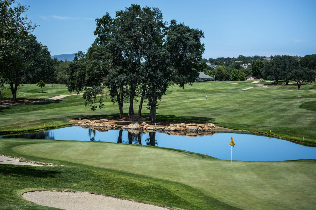  Golf Courses 