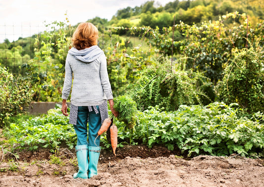 Vegetable Garden