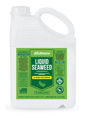 Liquid Seaweed Concentrate - 2.5 GAL